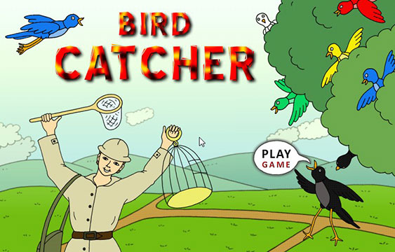Hra BIRD CATCHER